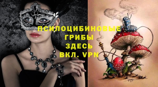 первитин Алексин