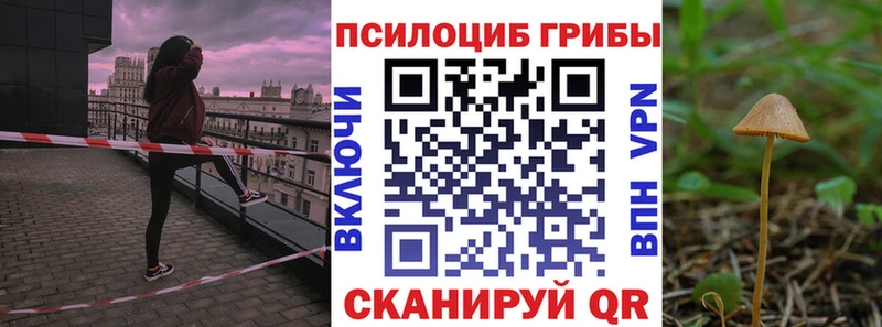 Псилоцибиновые грибы мицелий  наркота  Евпатория 